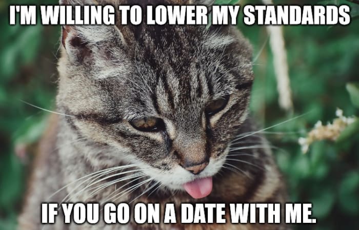 100+ Mean and Insulting Pick-Up Lines - PairedLife - Relationships