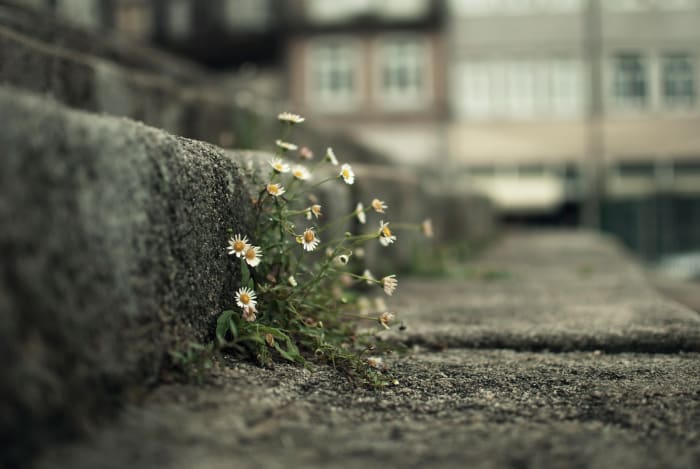 Find a way to flourish anyway. You are SO worth it!