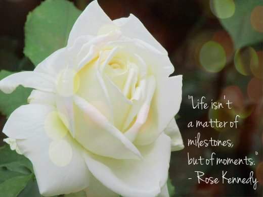 "Life isn't a matter of milestones, but of moments." - Rose Kennedy, American philanthropist and socialite