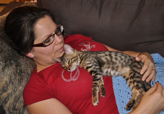 What cat isn't comforted by the heartbeat and tender hands of a loving human? What human isn't comforted by the soft purring of a content cat?