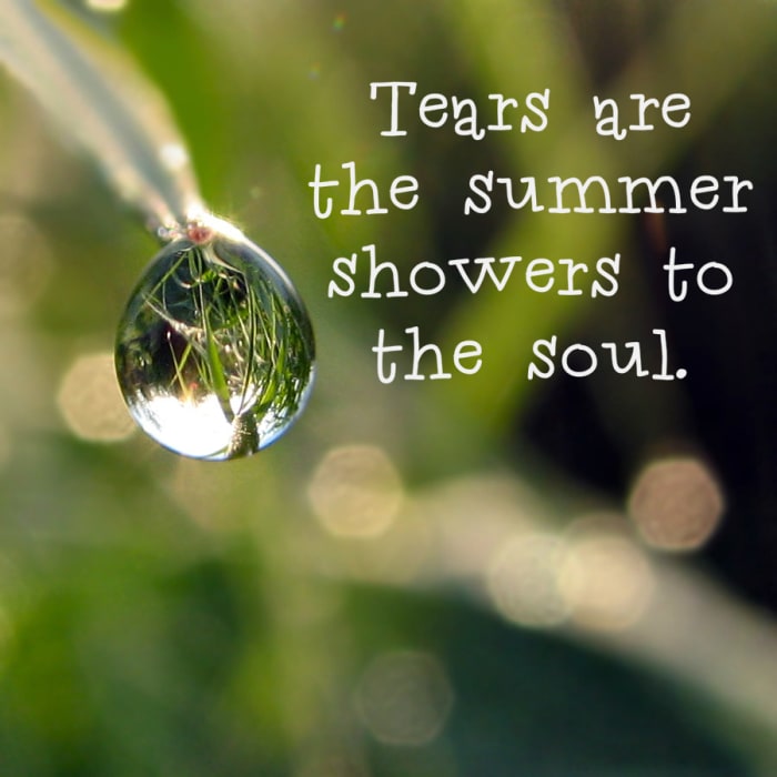 "Tears are the summer showers to the soul." - Alfred Austin, English poet