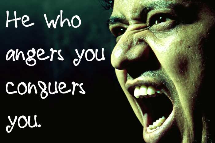 "He who angers you conquers you." - Elizabeth Kenny, Australian nurse