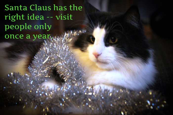 "Santa Claus has the right idea -- visit people only once a year." - American Danish comedian