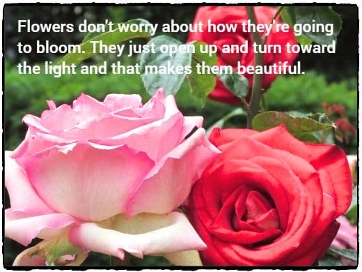 "Flowers don't worry about about how they're going to bloom. They just open up and turn toward the light and that makes them beautiful." - Jim Carrey, American comedian