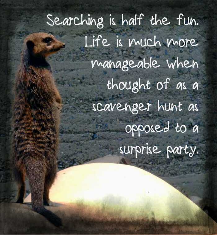 "Searching is half the fun. Life is much more manageable when thought of as a scavenger hunt as opposed to a surprise party." - Jimmy Buffett, American singer
