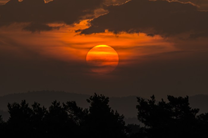 "If you want to see the sunshine, you have to weather the storm." - Frank Lane, American baseball executive