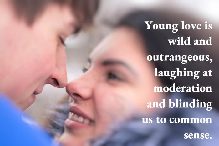 "Young love is wild and outrageous, laughing at moderation and blinding us to common sense." - H. Jackson Browne Jr., American author