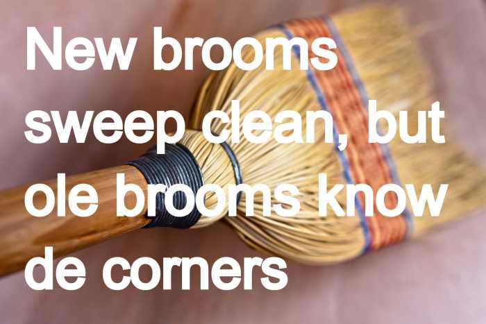 "New brooms sweep clean, but ole brooms know de corners." - Caribbean saying (Someone with a new perspective can make great changes, but experience is also very valuable.)