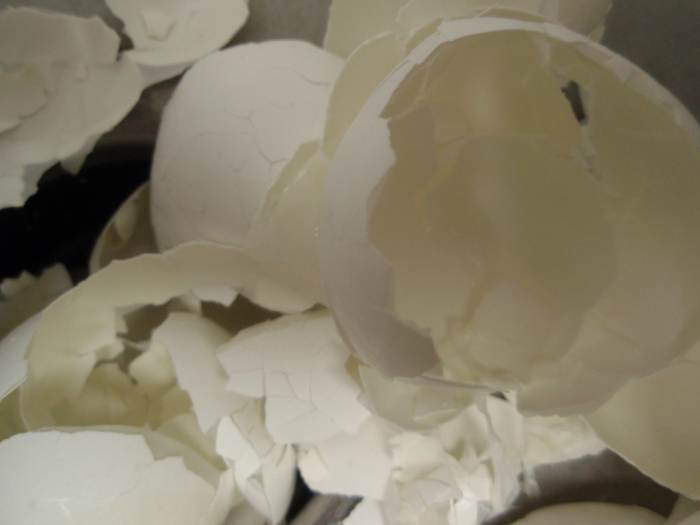 Walking on eggshells only allows your relationship to crumble further. It doesn't fix the problem!