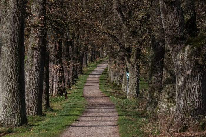 Whatever you and your spouse are fighting about, as long as you fight fair, it's possible to find a way forward. Remember, you have chosen this path together.