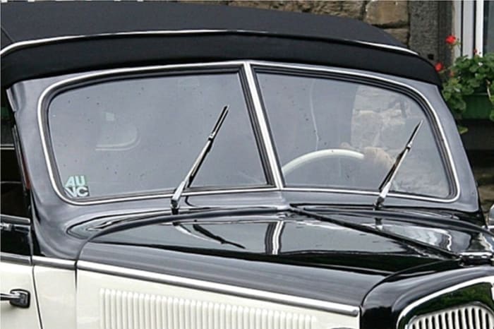 Like windshield wipers, lonely spouses may move together though they do not touch. Photo by Lothar Spurzem