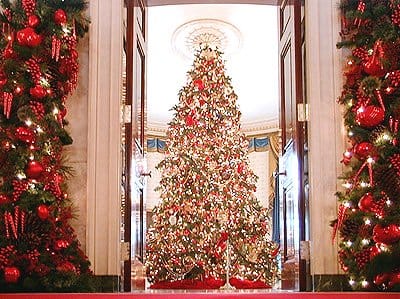 White House Christmas Tree in the Blue Room Note: Chandelier Was Removed to Make Room for the Large Tree