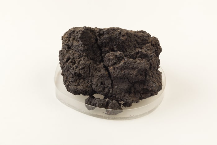 This ancient piece of fruitcake was discovered in an excavated Egyptian tomb. It now resides in the Metropolitan Museum of Art.