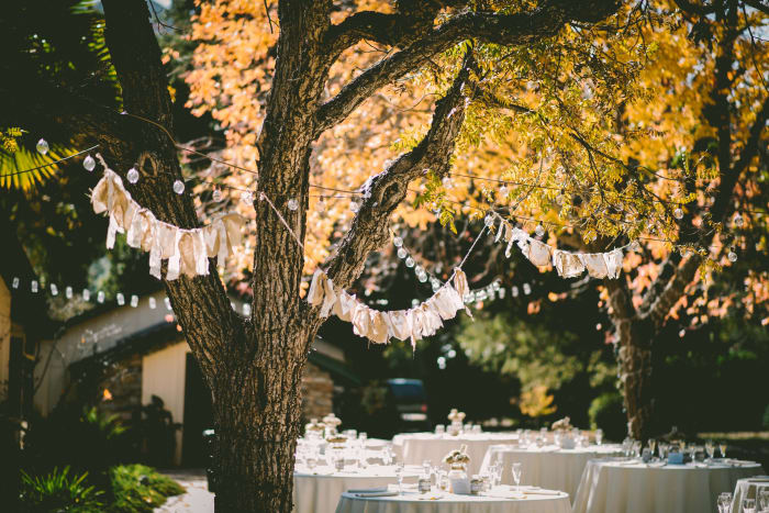 If you're on a budget, you can easily get married at a local park, or even in the woods!