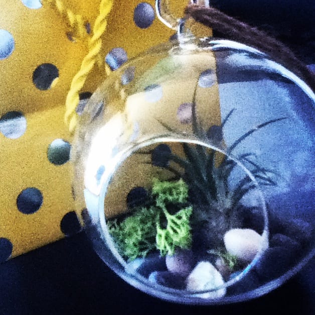 A small terrarium makes a great hostess gift. It's pretty, practical, and easy to make! You can find terrarium plants and supplies at your local plant shop, craft store and online.