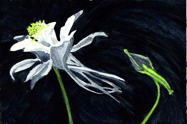 After letting my Grisaille Painting dry completely, I added yellows and greens glazing them over the color already there.