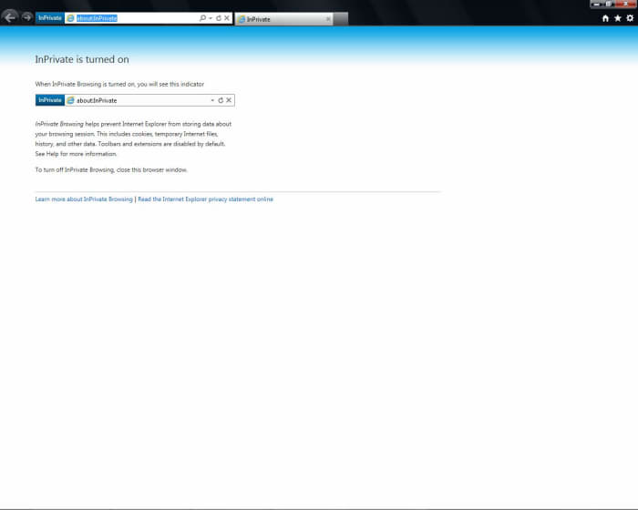 Internet Explorer has it's own private browsing feature, called "InPrivate Browsing".
