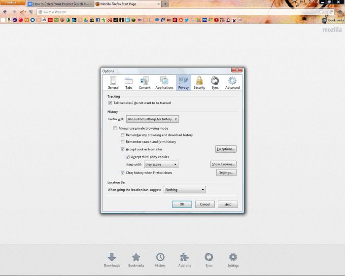 Customizing your privacy settings can prevent your browsing history from even being saved.