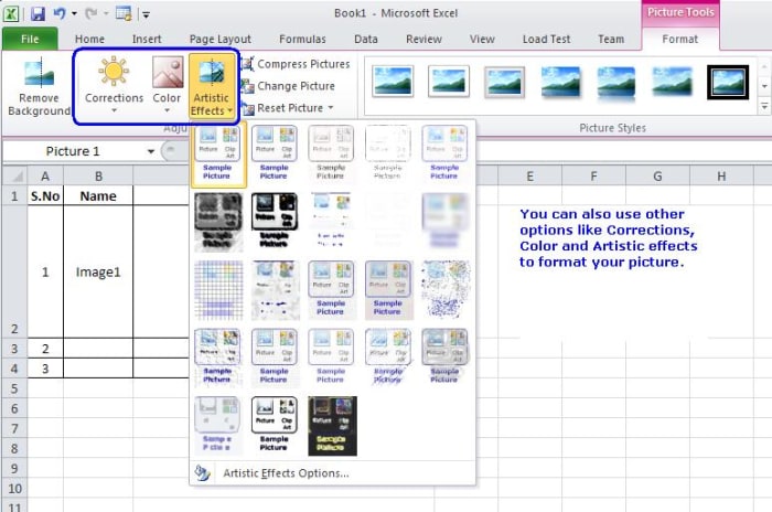 How to Insert a Picture in a Microsoft Excel Worksheet ...