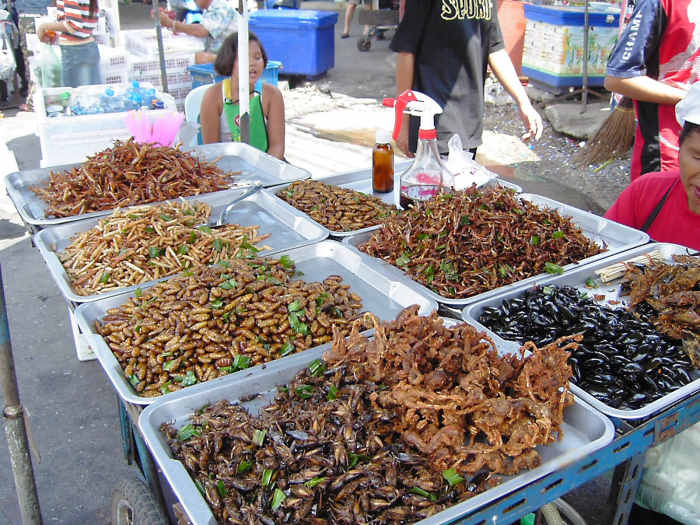 Some people enjoy eating insects. These are deep fried. Dried and powdered insects may one day be added to a liquid to make a medium for a food printer.
