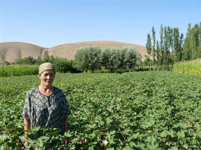 This farmer grows organic cotton in Kyrgyzstan.