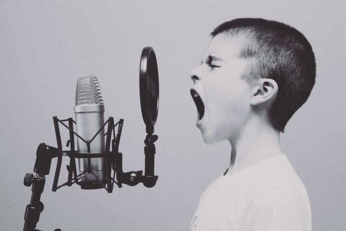 A good microphone may become your best friend, especially if you keep yelling at it.