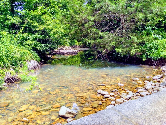 A shot I captured with my Pixel by the low water creek near my house. The Pixel excels at capturing shots like this.