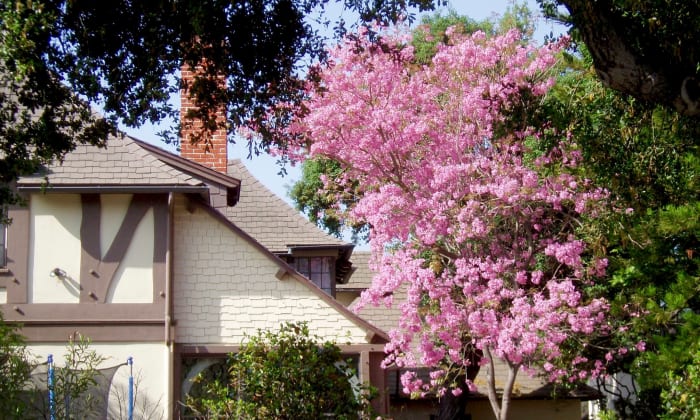I happen to like peaked roofs and flowering trees. So this is a photo I might use to motivate myself to buy a house, if I wanted one.
