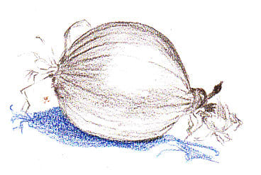 First Layer Darks on an onion -- not the right colors for this Steinberg technique, but the right texture I'm talking about.