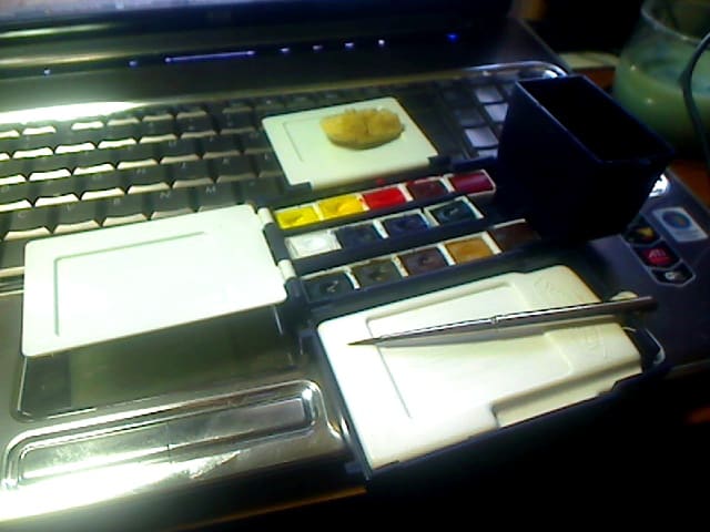 Photo of my Winsor & Newton Artist's Field Box with two additional colors: Permanent Rose and Quinacridone Gold.