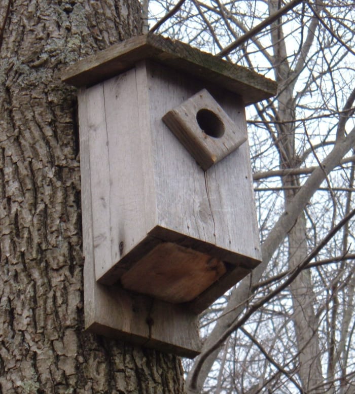 I made this bluebird house several years ago. The pine was left natural and has weathered to silvery-gray color.