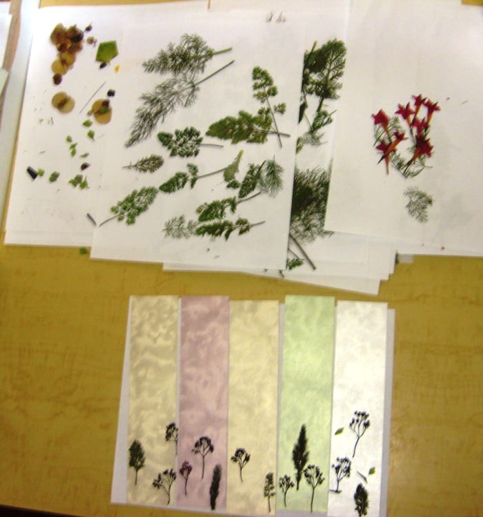 Arrange many pages of pressed leaves and flowers so that you have a pallet of shapes and colors to pull from as you create.