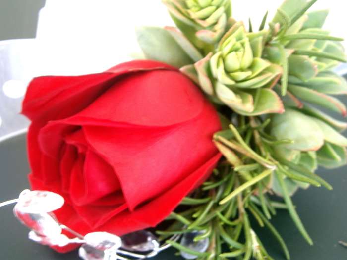 I use succulents and rosemary from my backyard to accent a single red rose--more akin to the traditional boutonniere, where herbs are also used.