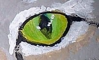 Do the eyes early on to give the rock some character - tidying up and fine details will be completed later.