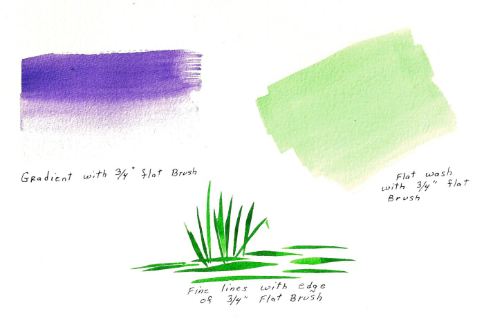 Practice broad strokes with 3/4" flat brush, experimenting with a gradient or a solid wash of color. You can also use the edge of brush for fine lines such as grasses.
