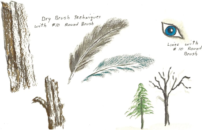 Use a #10 round on its side for bark texture and feathery strokes on leaves and feathers. The tip of the #10 round will give you fine lines.