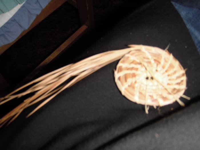 As the coil gets short, add new clusters of two or three pine needles under the last stitch, then sew them in as you turn the coil. Keep the coin even thickness as you weave the basket.