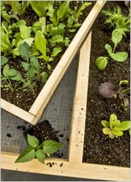 Building TRAYS for your salad bench is another option. Trays can be inserted into the table for a variety of purposes.