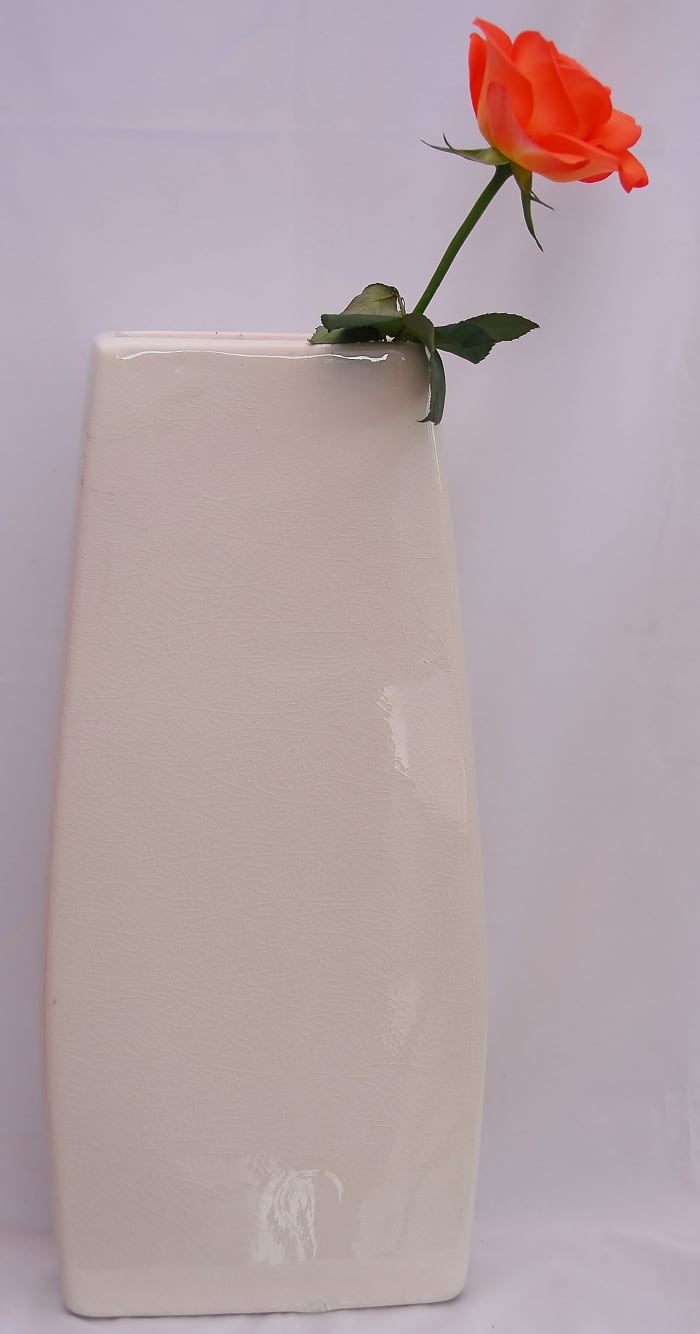 The simple vase which measured 41 cm in height. A round sided vase would work equally well.