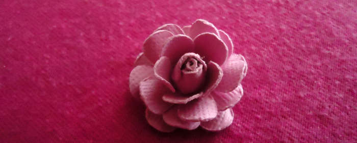 Glue the last one under (curled sides facing down) making sure to alternate with the petals already glued on and viola! Your beautiful handmade rose is finished.