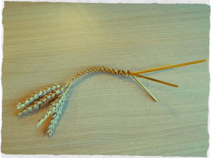 Use cotton to hold your folded stalks in place once you are happy with the length.