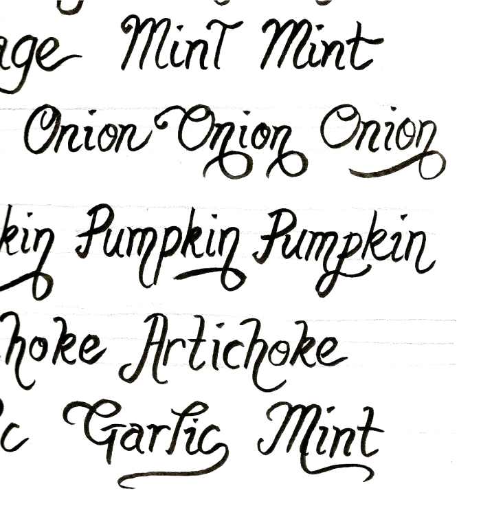 Practice writing the names of your plants on paper first. It will give you confidence, and it will help you gauge how much room you'll need to fit everything onto your rock.