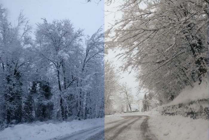In this picture I had set a wrong white balance and the image came out really cold (left), but then I fixed it via software (right)