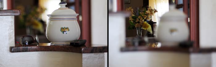 What do you want to focus on? If you're using autofocus, make sure your camera gets it right before shooting!