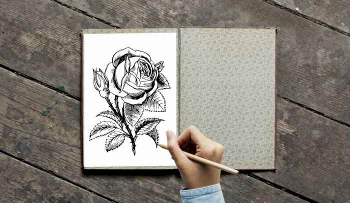 Roses are very popular flowers for landscape coloring projects. Excellent choice for blending and shading techniques.