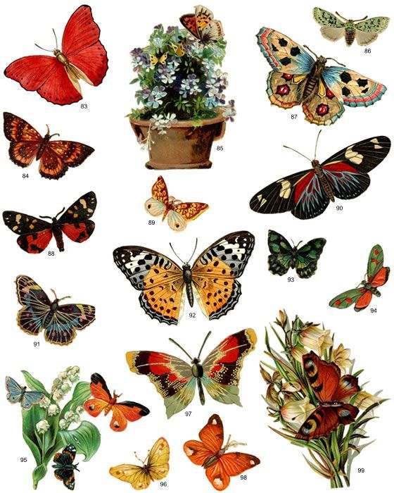 Free butterfly clip art is everywhere! No painting skills required: print out butterflies with a color printer, cut them out, and decoupage onto your projects. Easy peasy!