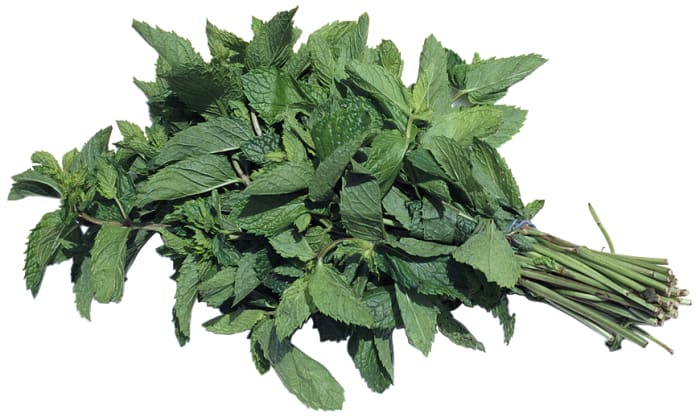 Be creative and just think about the smells that you love. I love to add mint because it smells so refreshing.