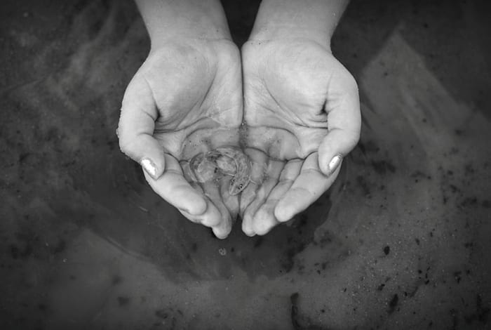 SALVATION I captured this image during my daughter's selfless act of saving a stranded fish from a shrinking tidal pool. Happenstance becomes symbolism.
