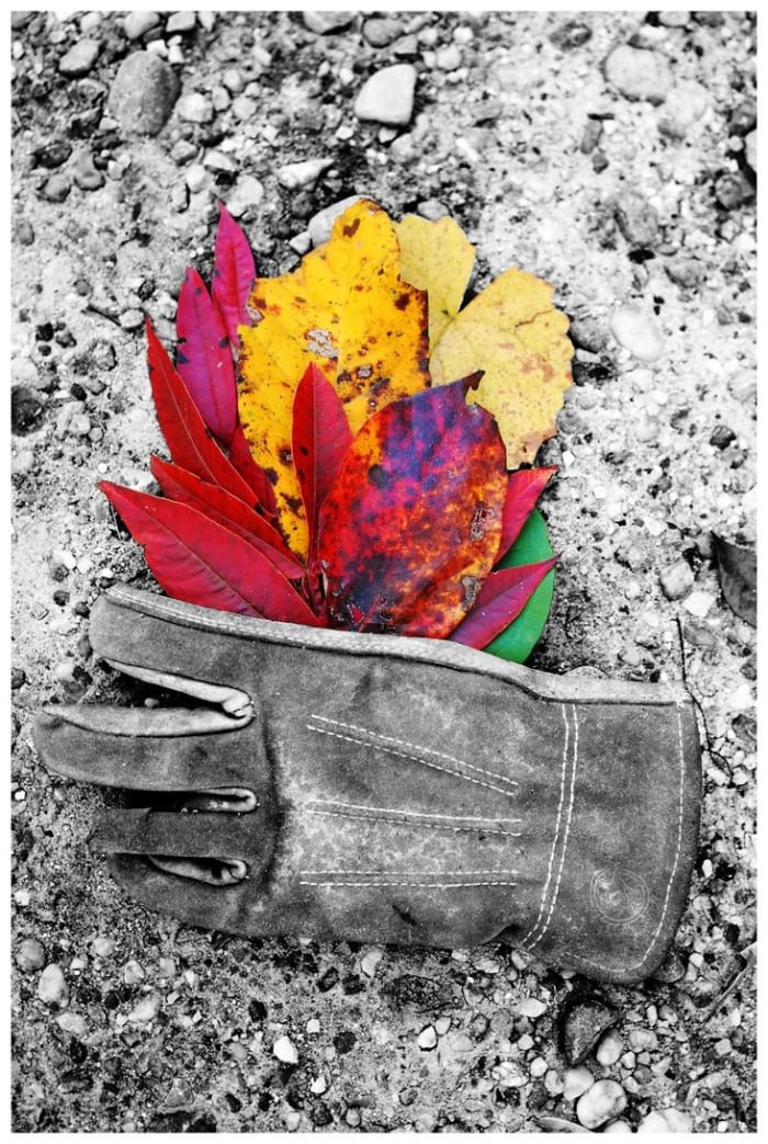 AUTUMN BOUQUET I love the juxtaposition of real, lucid colors against the simplicity of grayscale photography. To do this, I must make a black and white copy of my original photograph. I then cut and paste them together.