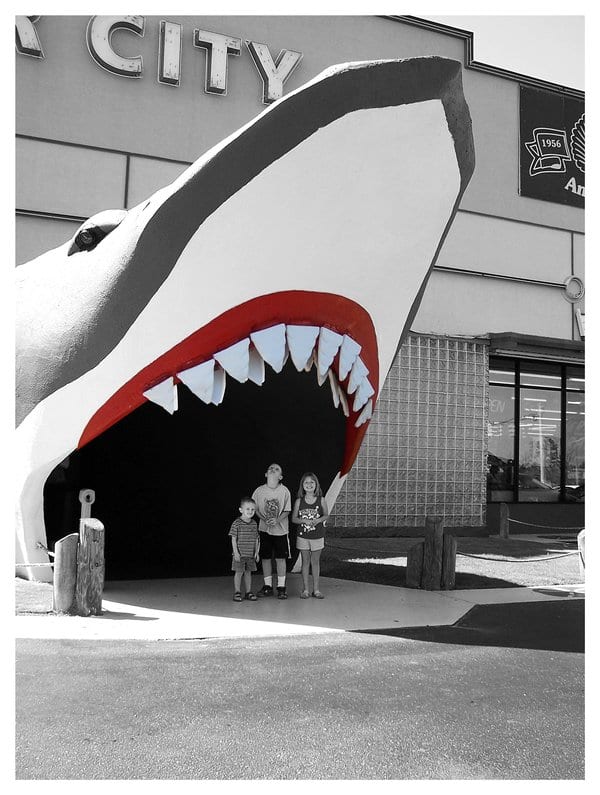 SUMMER VACATION I have photo albums filled with normal photos, but once in a while I see one that begs to be dressed up. This particular image is of my three children during a family vacation. While I love black and white, I had to include the lips!